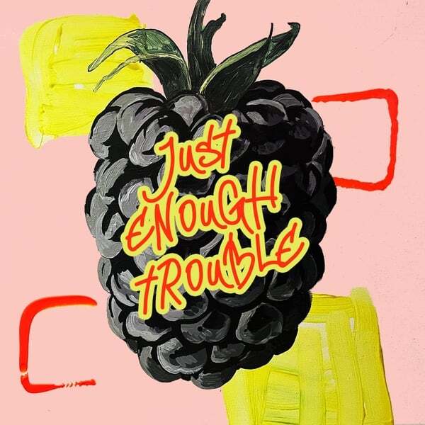 Cover art for Just Enough Trouble